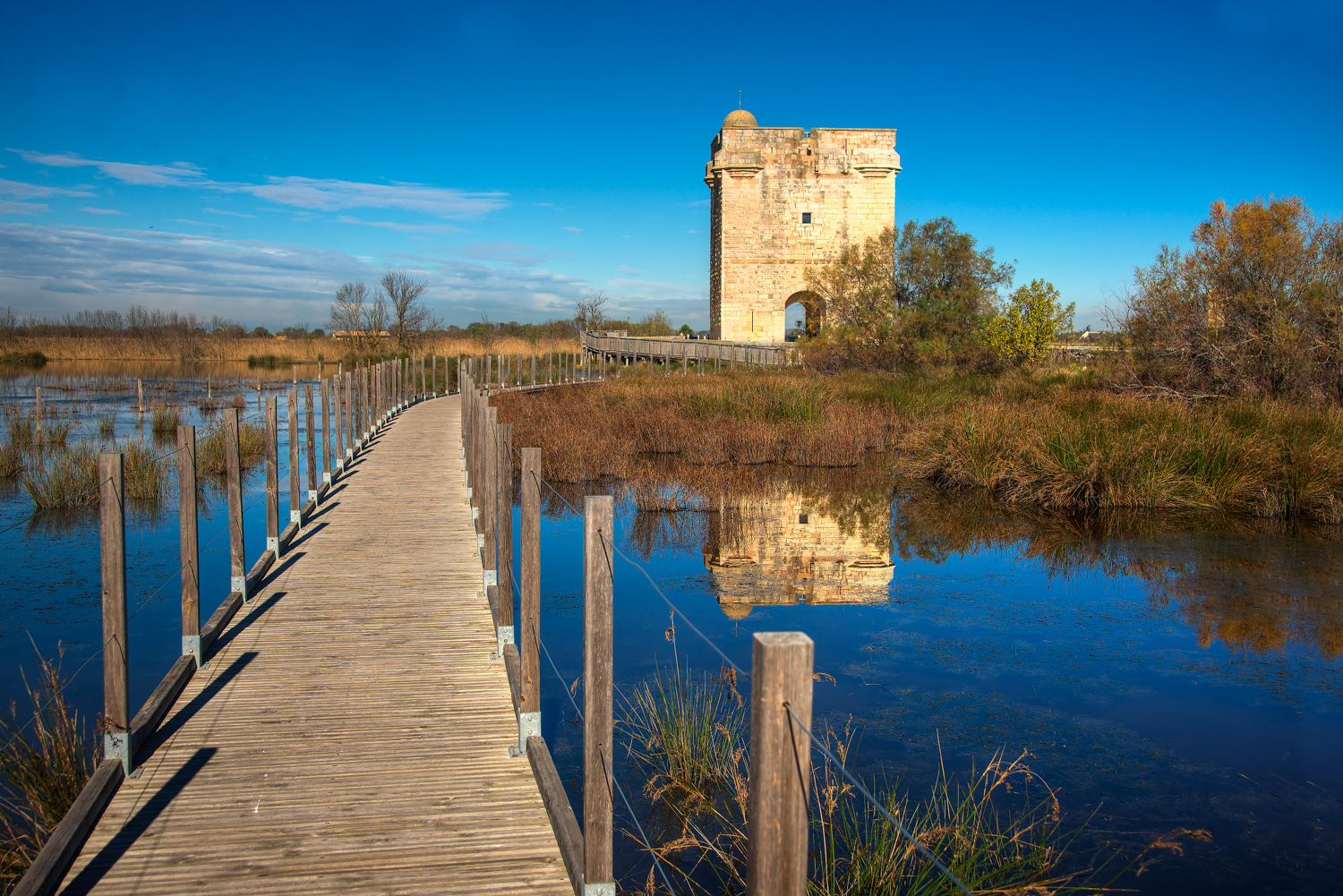 camargue-17