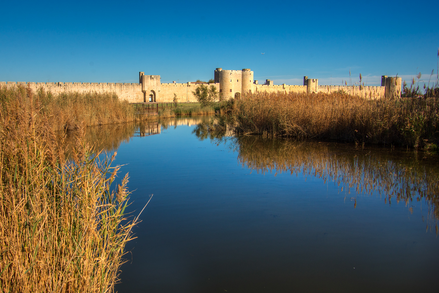 camargue-18