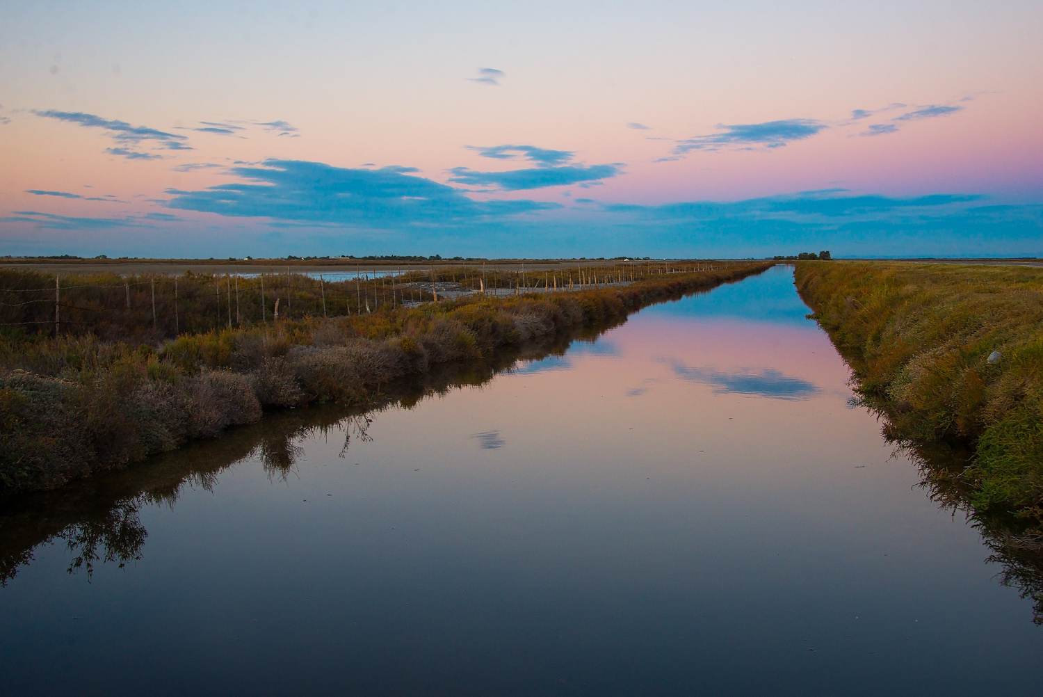 camargue-22